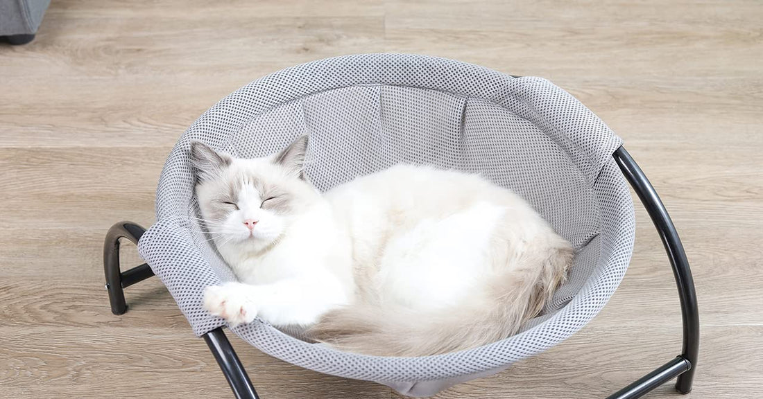 Unleash Your Furry Friend's Comfort and Joy: Discover the Ultimate Pet Beds!