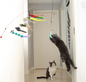 CZPET Cat Toys Kitten Jump Exercise Interactive Replaceable Elastic Automatic Toy Funny Cat Teaser Various Developmental Puzzle Toys Feather Mouse