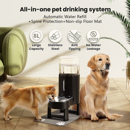 Elevated Dog Water Bowl Dispenser with Mat, Tall Raised Pet Waterer Stand, Relieve Neck Pressure (Stand+Mat, Black)