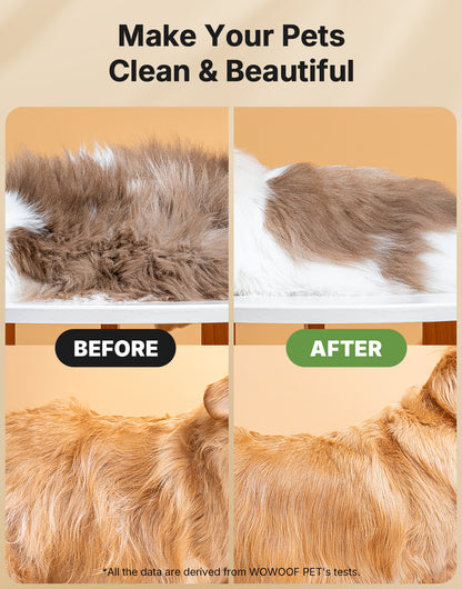 5-in-1 Cat Hair Brush & Gromming Rakes, Cat Steam Comb for Long or Short Haired Indoor Cats