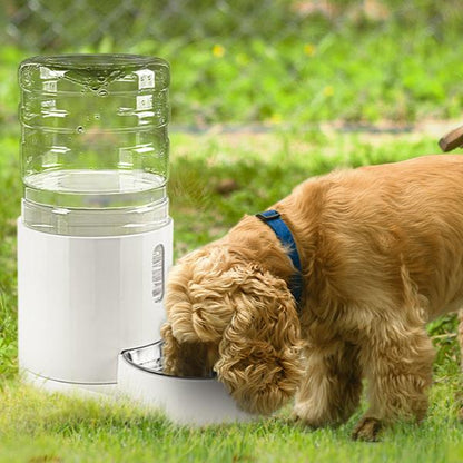 4L Automatic  Water Bowl Dispenser