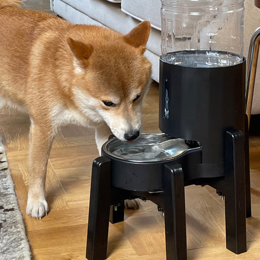 Adjustable Width Water Dispenser Bracket [Stand Only]