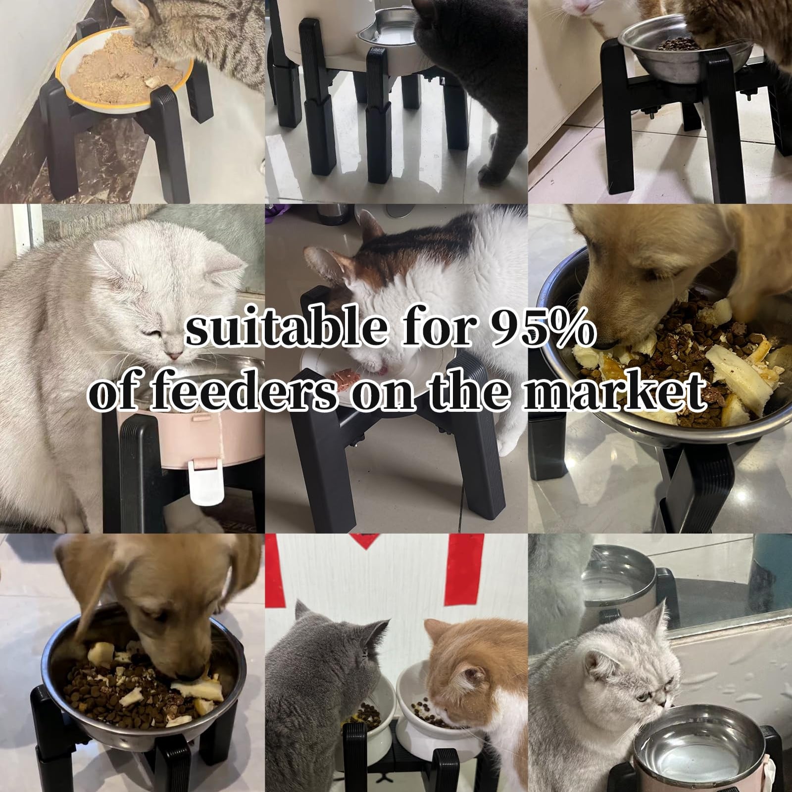 Width-Adjustable Pet Bowl Stand Customer Feedback Photos