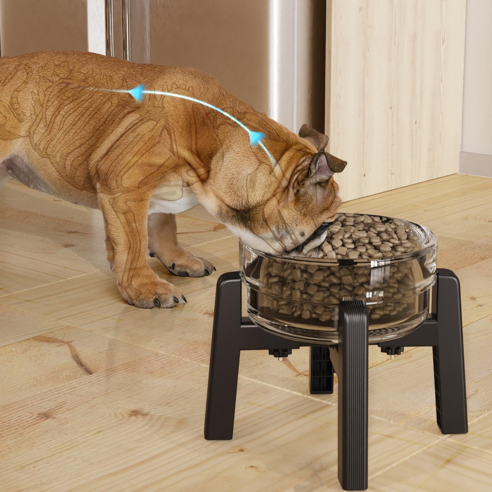 Width-Adjustable Pet Bowl Stand Neck Friendly