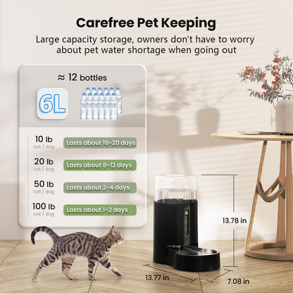 6L Automatic Pet Water Dispenser